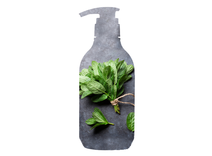 CONDITIONER, MENTHOL